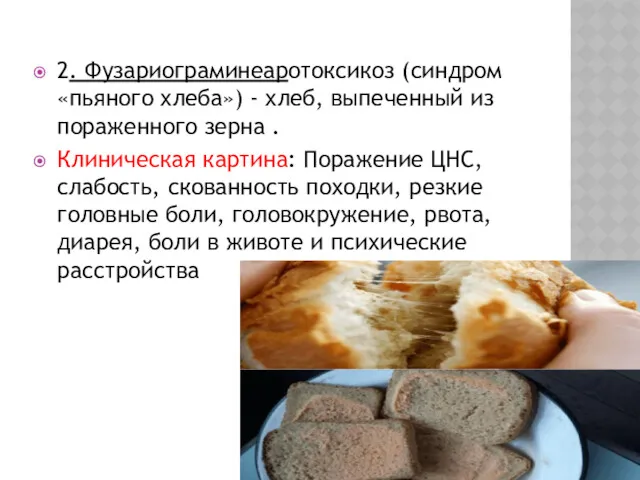 2. Фузариограминеаротоксикоз (синдром «пьяного хлеба») - хлеб, выпеченный из пораженного зерна . Клиническая