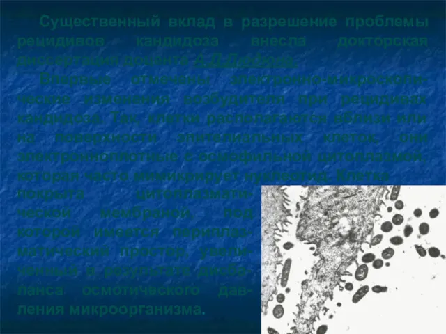 Существенный вклад в разрешение проблемы рецидивов кандидоза внесла докторская диссертация