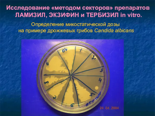 Исследование «методом секторов» препаратов ЛАМИЗИЛ, ЭКЗИФИН и ТЕРБИЗИЛ in vitro.