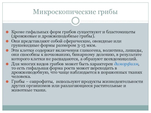 Микроскопические грибы Кроме гифальных форм грибов существуют и бластомицеты (дрожжевые