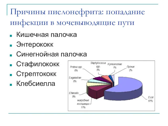 Причины пиелонефрита: попадание инфекции в мочевыводящие пути Кишечная палочка Энтерококк Синегнойная палочка Стафилококк Стрептококк Клебсиелла