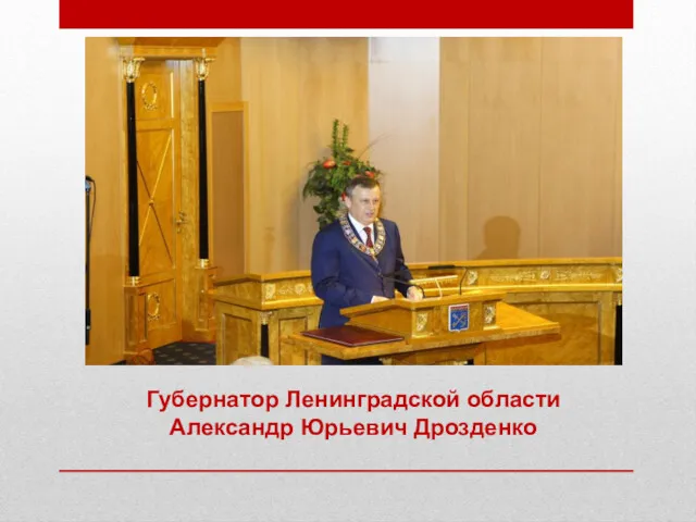 Губернатор Ленинградской области Александр Юрьевич Дрозденко