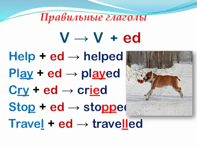 Правильные глаголы V → V + ed Help + ed