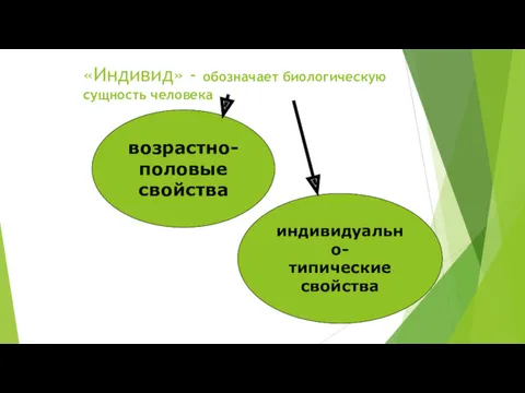 «Индивид» - обозначает биологическую сущность человека возрастно- половые свойства индивидуально- типические свойства