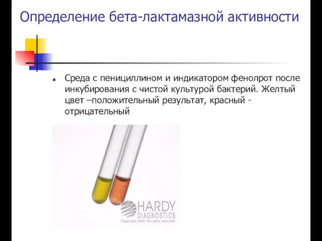 Определение бета-лактамазной активности Среда с пенициллином и индикатором фенолрот после