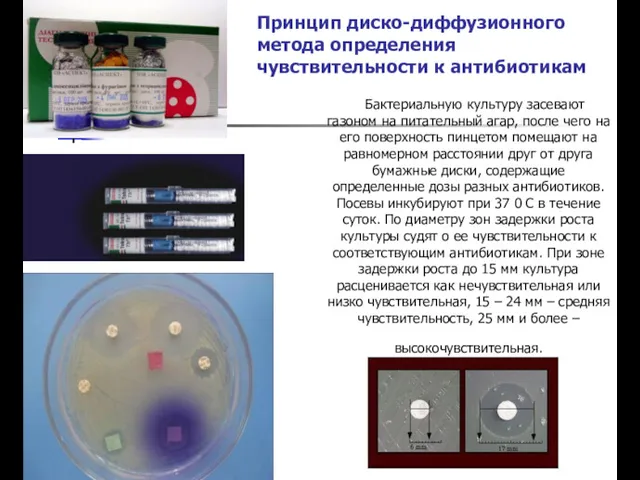 Принцип диско-диффузионного метода определения чувствительности к антибиотикам Бактериальную культуру засевают