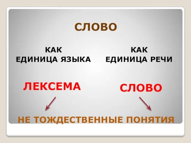 НЕ ТОЖДЕСТВЕННЫЕ ПОНЯТИЯ ЛЕКСЕМА КАК ЕДИНИЦА ЯЗЫКА КАК ЕДИНИЦА РЕЧИ СЛОВО СЛОВО