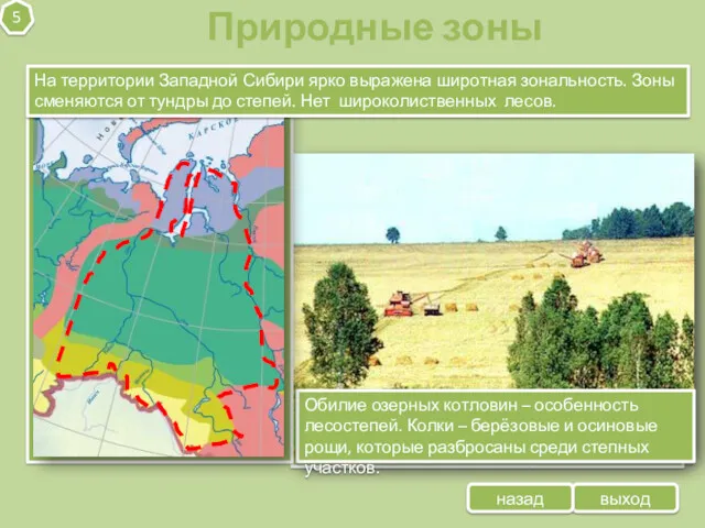 выход Природные зоны назад 5 На территории Западной Сибири ярко