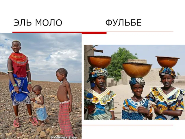 ЭЛЬ МОЛО ФУЛЬБЕ