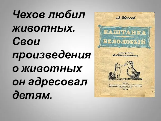 Чехов любил животных. Свои произведения о животных он адресовал детям.