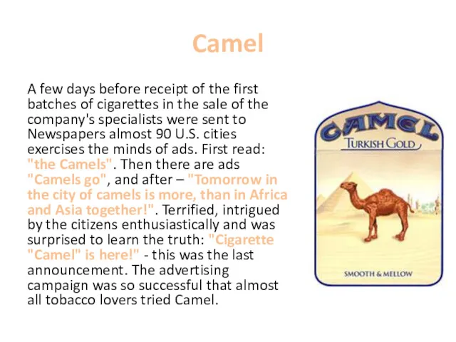 Camel A few days before receipt of the first batches