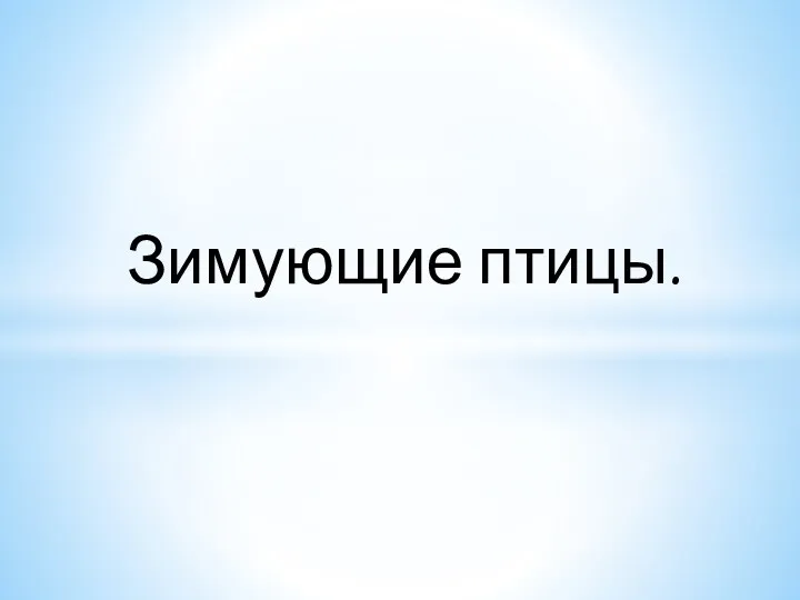 Зимующие птицы.