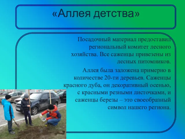 «Аллея детства» Посадочный материал предоставил региональный комитет лесного хозяйства. Все