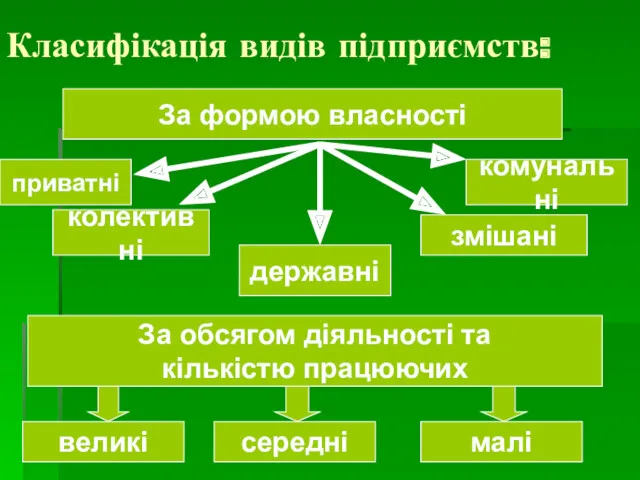 Класифікація видів підприємств: За формою власності приватні колективні комунальні державні