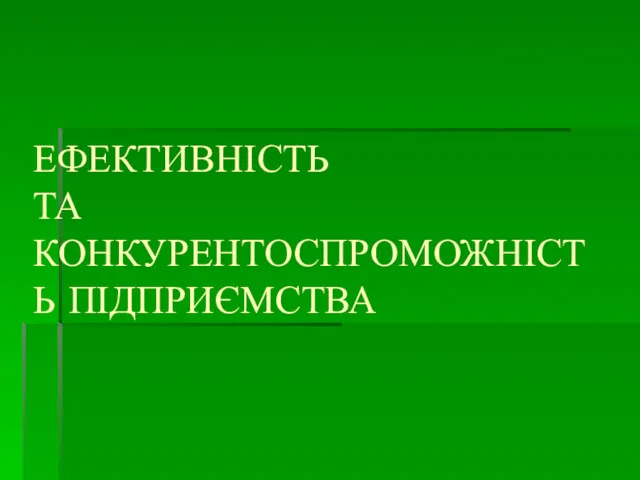 ЕФЕКТИВНІСТЬ ТА КОНКУРЕНТОСПРОМОЖНІСТЬ ПІДПРИЄМСТВА