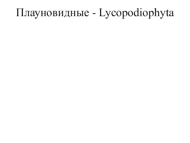 Плауновидные - Lycopodiophyta Плауновидные относятся к одной из наиболее древних групп современных высших