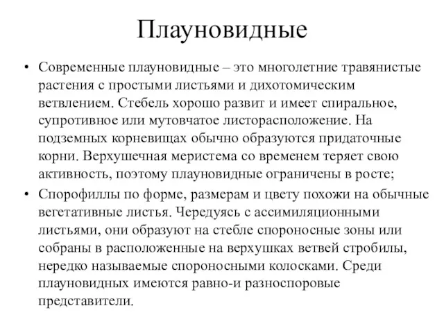 Плауновидные Современные плауновидные – это многолетние травянистые растения с простыми листьями и дихотомическим