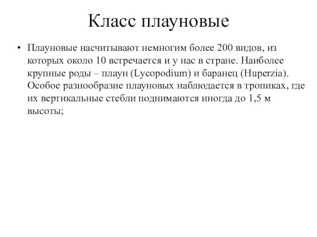 Класс плауновые Плауновые насчитывают немногим более 200 видов, из которых