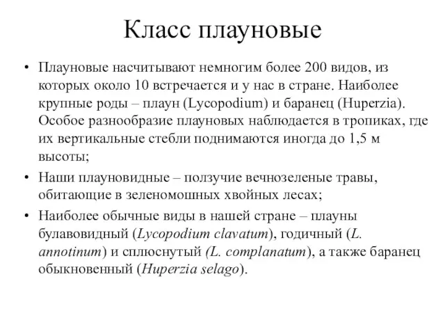 Класс плауновые Плауновые насчитывают немногим более 200 видов, из которых около 10 встречается