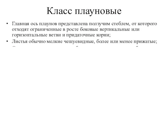 Класс плауновые Главная ось плаунов представлена ползучим стеблем, от которого