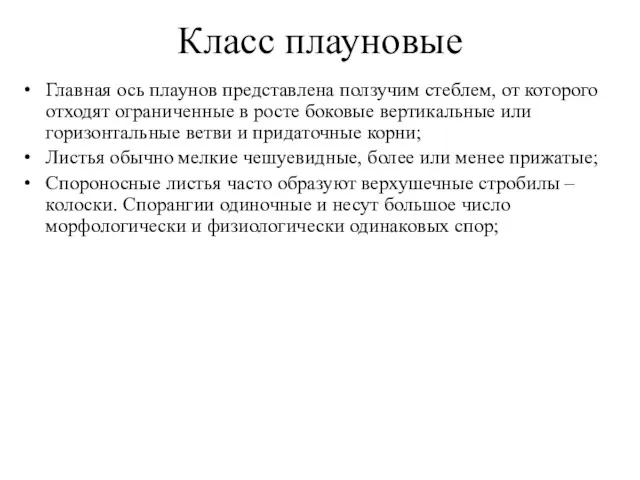 Класс плауновые Главная ось плаунов представлена ползучим стеблем, от которого отходят ограниченные в