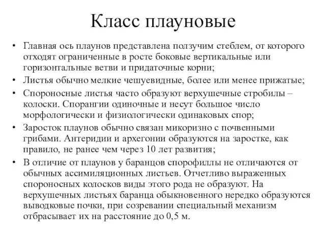 Класс плауновые Главная ось плаунов представлена ползучим стеблем, от которого