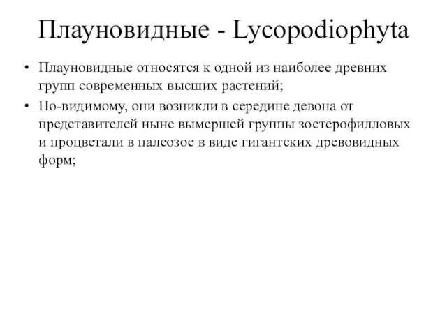 Плауновидные - Lycopodiophyta Плауновидные относятся к одной из наиболее древних групп современных высших