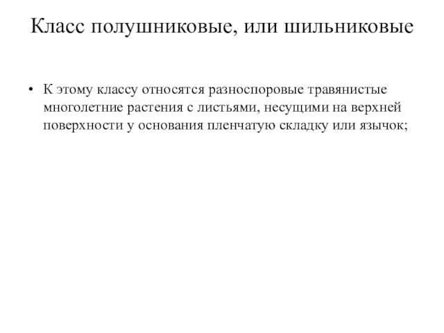 Класс полушниковые, или шильниковые К этому классу относятся разноспоровые травянистые многолетние растения с