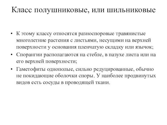 Класс полушниковые, или шильниковые К этому классу относятся разноспоровые травянистые