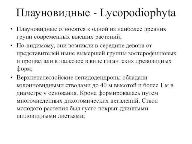 Плауновидные - Lycopodiophyta Плауновидные относятся к одной из наиболее древних групп современных высших