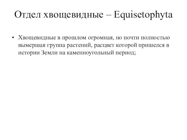 Отдел хвощевидные – Equisetophyta Хвощевидные в прошлом огромная, но почти полностью вымершая группа