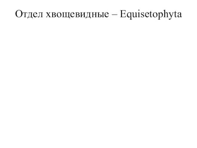 Отдел хвощевидные – Equisetophyta Хвощи встречаются по всему миру в самых разных растительных