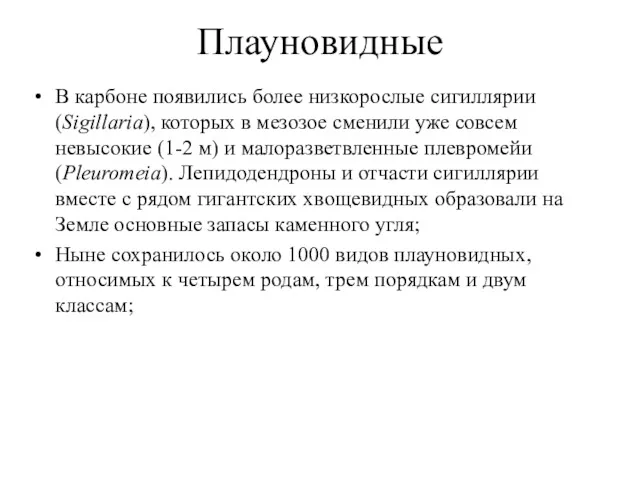 Плауновидные В карбоне появились более низкорослые сигиллярии (Sigillaria), которых в мезозое сменили уже