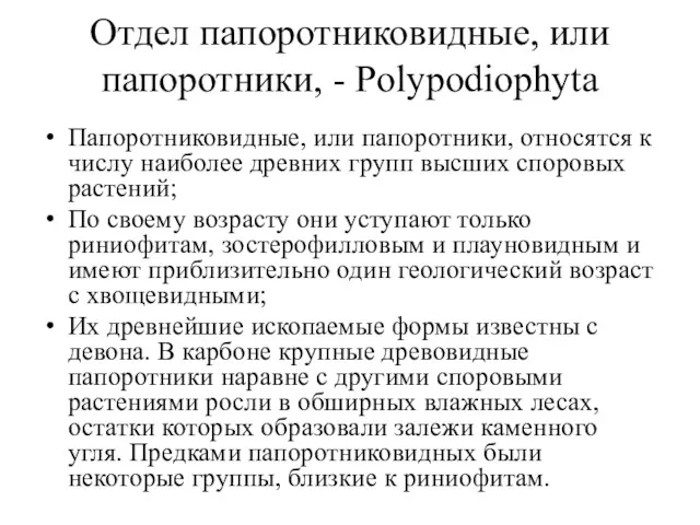 Отдел папоротниковидные, или папоротники, - Polypodiophyta Папоротниковидные, или папоротники, относятся