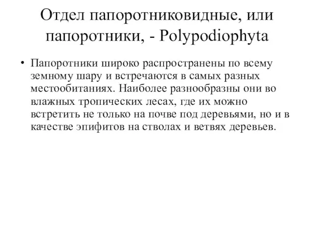 Отдел папоротниковидные, или папоротники, - Polypodiophyta Папоротники широко распространены по