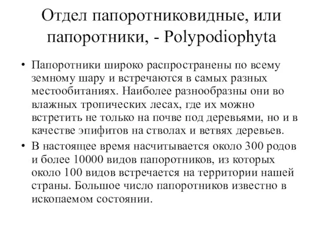 Отдел папоротниковидные, или папоротники, - Polypodiophyta Папоротники широко распространены по всему земному шару