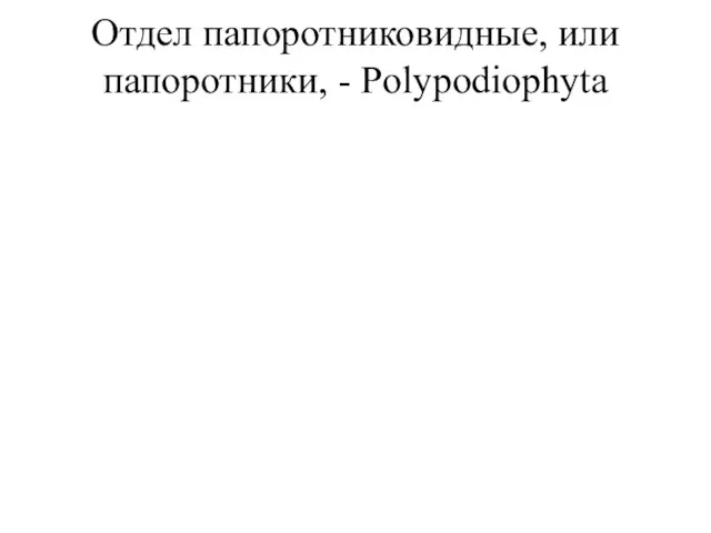 Отдел папоротниковидные, или папоротники, - Polypodiophyta Когда мы говорим о