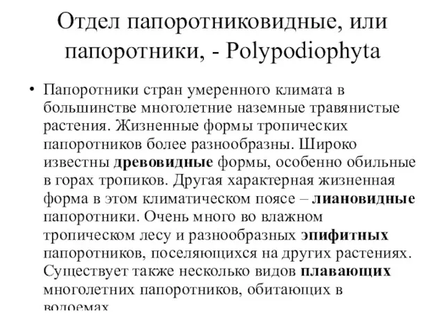 Отдел папоротниковидные, или папоротники, - Polypodiophyta Папоротники стран умеренного климата