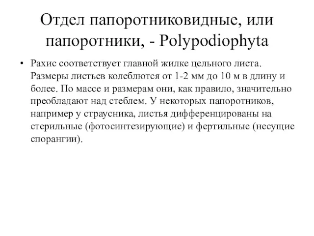 Отдел папоротниковидные, или папоротники, - Polypodiophyta Рахис соответствует главной жилке