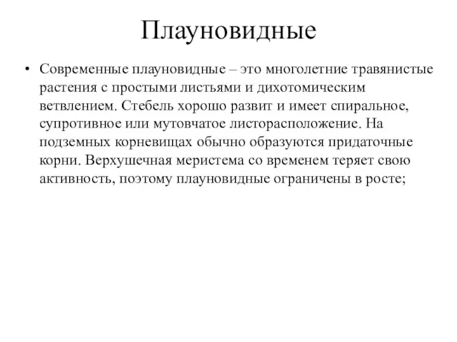 Плауновидные Современные плауновидные – это многолетние травянистые растения с простыми листьями и дихотомическим