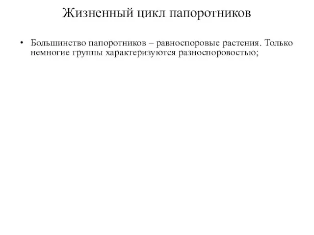 Жизненный цикл папоротников Большинство папоротников – равноспоровые растения. Только немногие