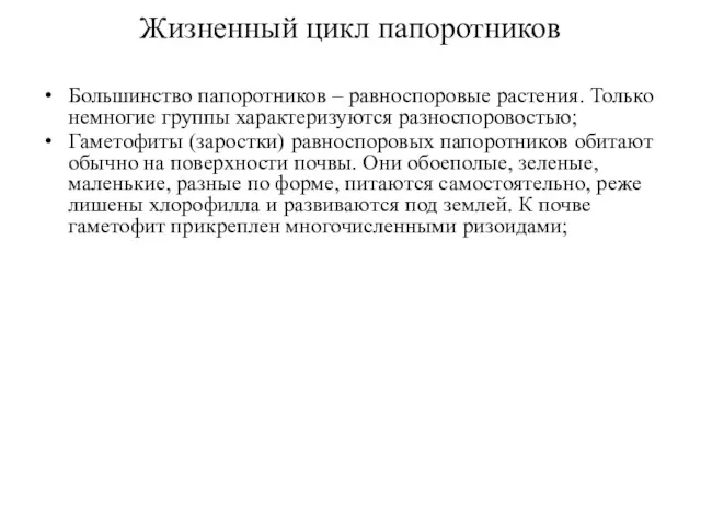 Жизненный цикл папоротников Большинство папоротников – равноспоровые растения. Только немногие