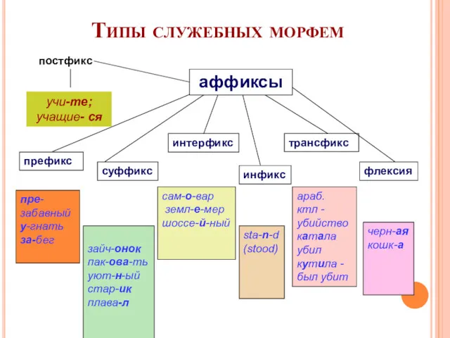 Типы служебных морфем аффиксы префикс суффикс интерфикс инфикс трансфикс флексия