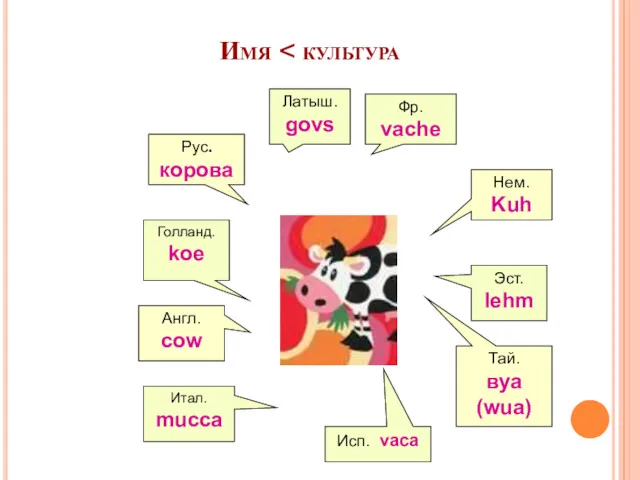 Имя Нем. Kuh Тай. вуа (wua) Рус. корова Англ. cow