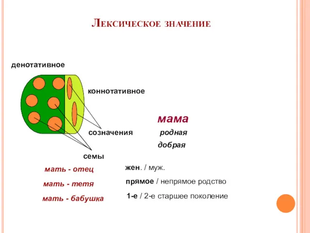 Лексическое значение денотативное коннотативное семы созначения мать - отец мать