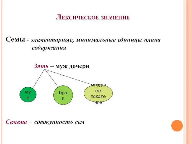 Лексическое значение Семы - элементарные, минимальные единицы плана содержания Зять