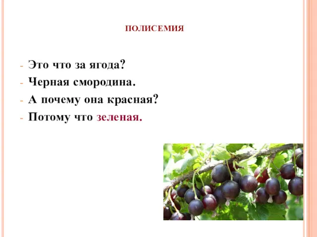 полисемия Это что за ягода? Черная смородина. А почему она красная? Потому что зеленая.