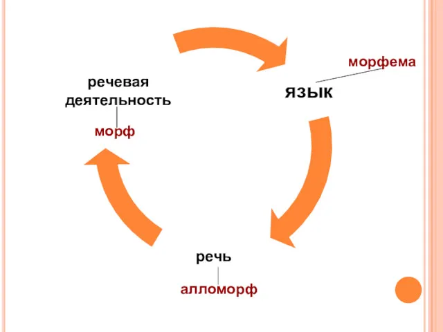 морфема алломорф морф