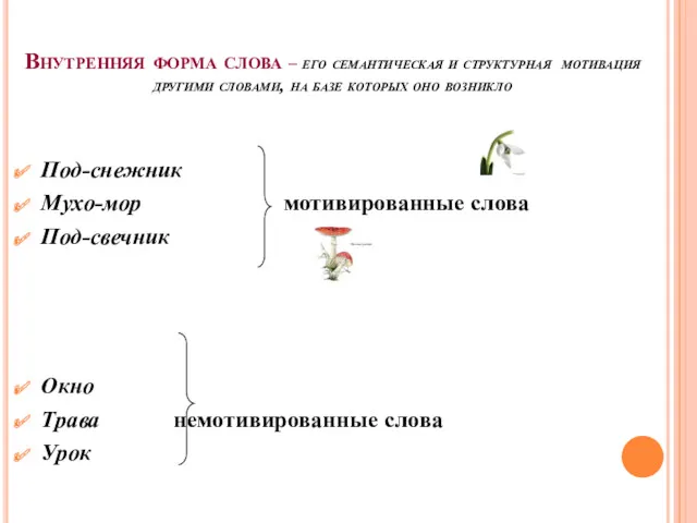 Внутренняя форма слова – его семантическая и структурная мотивация другими