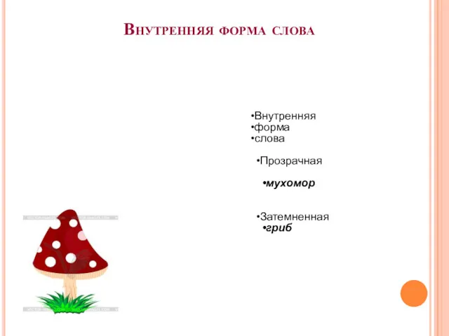 Внутренняя форма слова Внутренняя форма слова Прозрачная мухомор Затемненная гриб